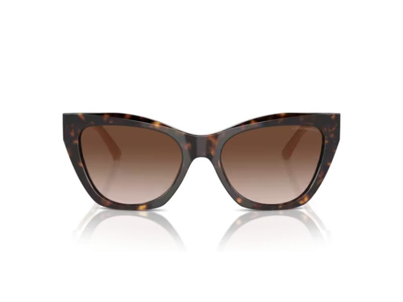 Emporio Armani Aurinkolasit EA 4176 587913