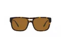 Emporio Armani Aurinkolasit EA 4197 587983