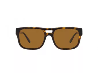 Emporio Armani Aurinkolasit EA 4197 587983
