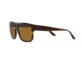 Emporio Armani Aurinkolasit EA 4197 587983