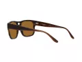 Emporio Armani Aurinkolasit EA 4197 587983