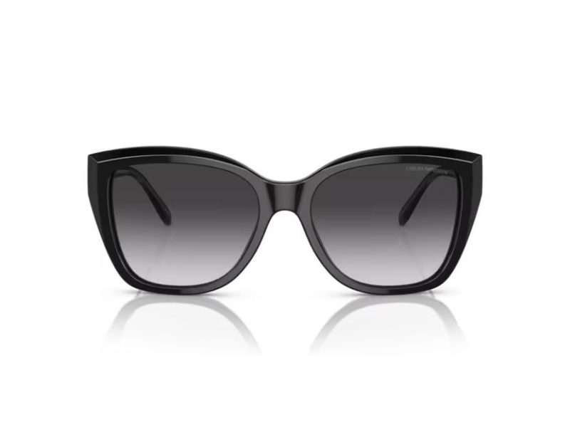 Emporio Armani Aurinkolasit EA 0EA4198 50178G