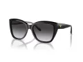 Emporio Armani Aurinkolasit EA 0EA4198 50178G