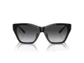 Emporio Armani Aurinkolasit EA 4203U 50178G