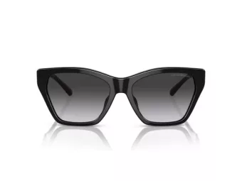 Emporio Armani Aurinkolasit EA 4203U 50178G