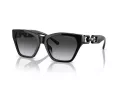 Emporio Armani Aurinkolasit EA 4203U 50178G