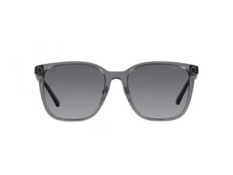 Emporio Armani Aurinkolasit EA 4206D 5029T3