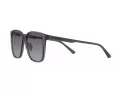 Emporio Armani Aurinkolasit EA 4206D 5029T3