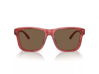 Emporio Armani Aurinkolasit EA 4208 605373