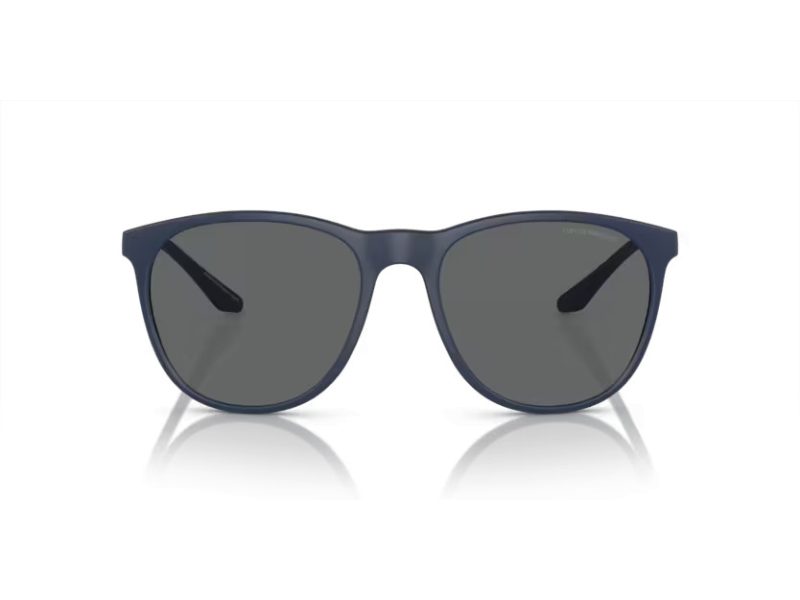 Emporio Armani Aurinkolasit EA 4210 576387
