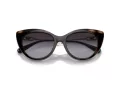 Emporio Armani Aurinkolasit EA 4213U 50171W
