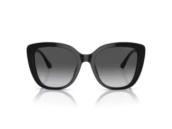 Emporio Armani Aurinkolasit EA 4214U 50178G