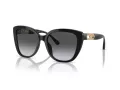 Emporio Armani Aurinkolasit EA 4214U 50178G