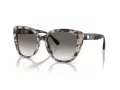 Emporio Armani Aurinkolasit EA 4214U 605811