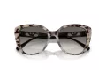 Emporio Armani Aurinkolasit EA 4214U 605811
