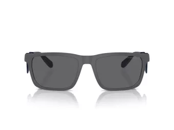 Emporio Armani Aurinkolasit EA 4219 610387