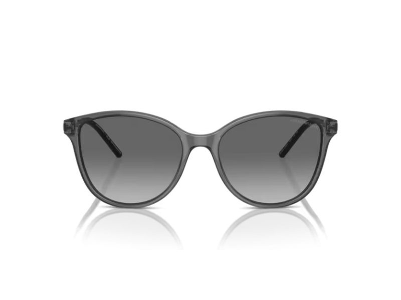 Emporio Armani Aurinkolasit EA 4220 610611