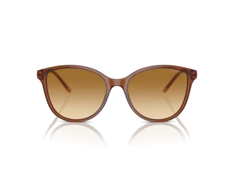 Emporio Armani Aurinkolasit EA 4220 61103B
