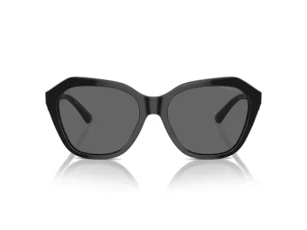 Emporio Armani Aurinkolasit EA 4221 501787