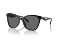 Emporio Armani Aurinkolasit EA 4222U 501787