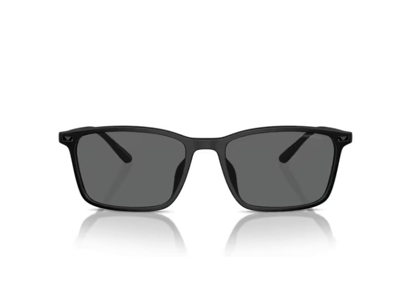 Emporio Armani Aurinkolasit EA 4223U 500187