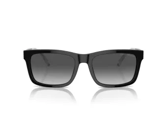 Emporio Armani Aurinkolasit EA 4224 5017T3