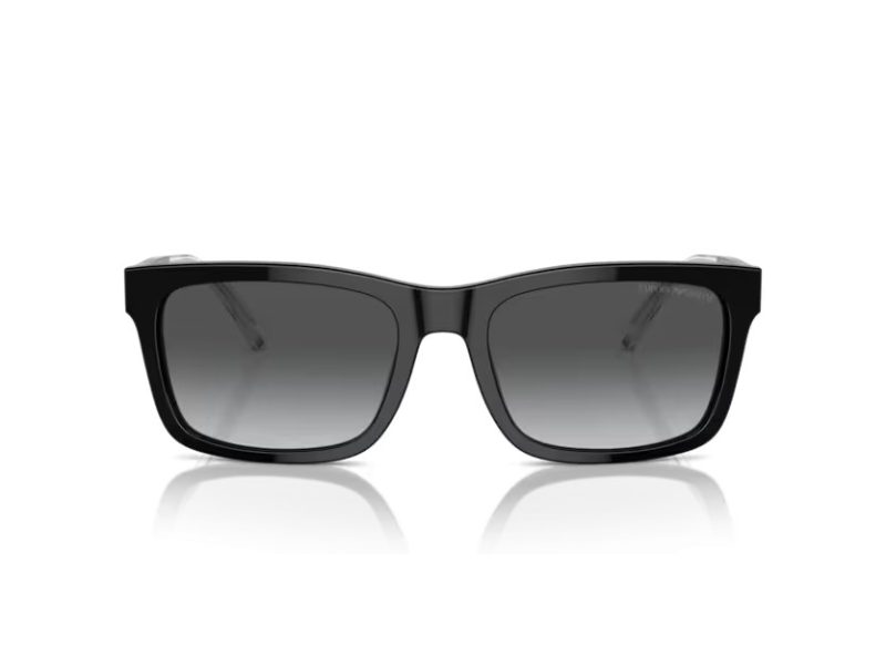 Emporio Armani Aurinkolasit EA 4224 5017T3