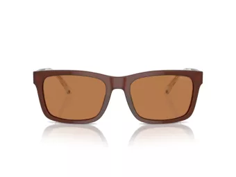 Emporio Armani Aurinkolasit EA 4224 609573