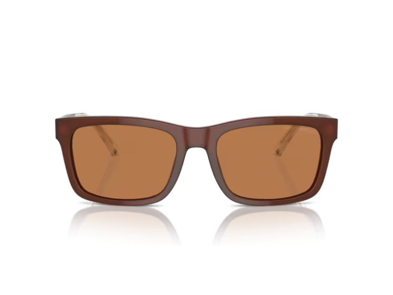 Emporio Armani Aurinkolasit EA 4224 609573