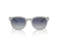 Emporio Armani Aurinkolasit EA 4225U 610087