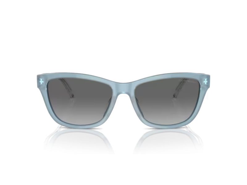 Emporio Armani Aurinkolasit EA 4227U 609611