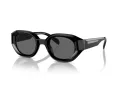 Emporio Armani Aurinkolasit EA 4230U 501787