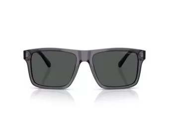 Emporio Armani Aurinkolasit EA 4232 610687