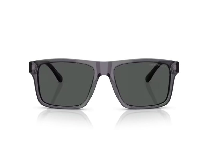 Emporio Armani Aurinkolasit EA 4232 610687