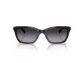 Emporio Armani Aurinkolasit EA 4238 50178G