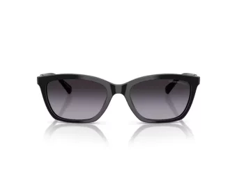 Emporio Armani Aurinkolasit EA 4238 50178G