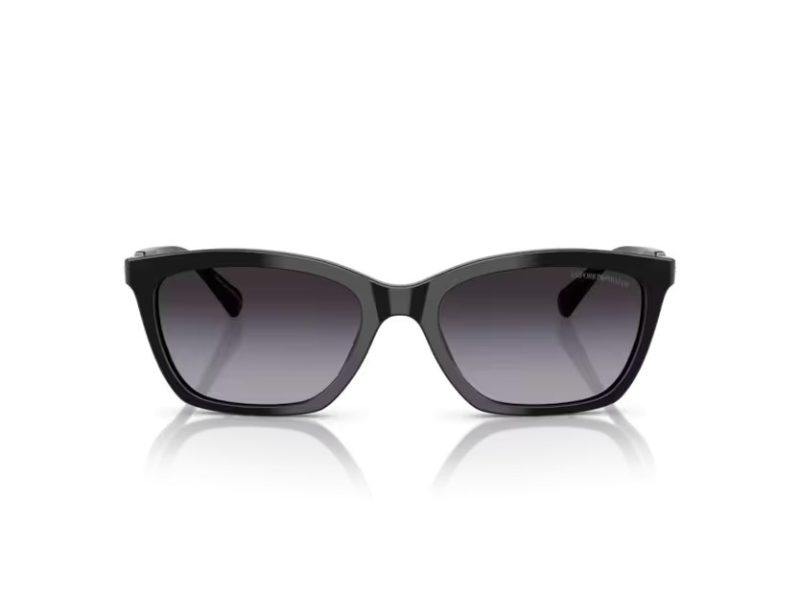 Emporio Armani Aurinkolasit EA 4238 50178G