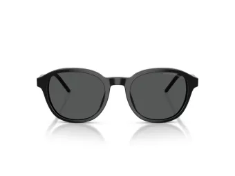 Emporio Armani Aurinkolasit EA 4247U 501787