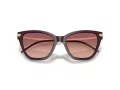 Emporio Armani Aurinkolasit EA 4247U 501787