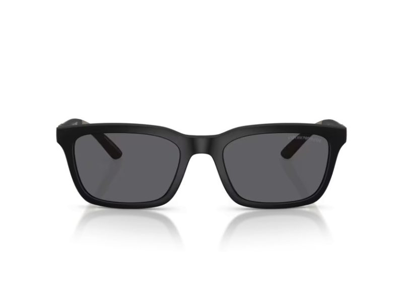 Emporio Armani Aurinkolasit EA 4249U 500181