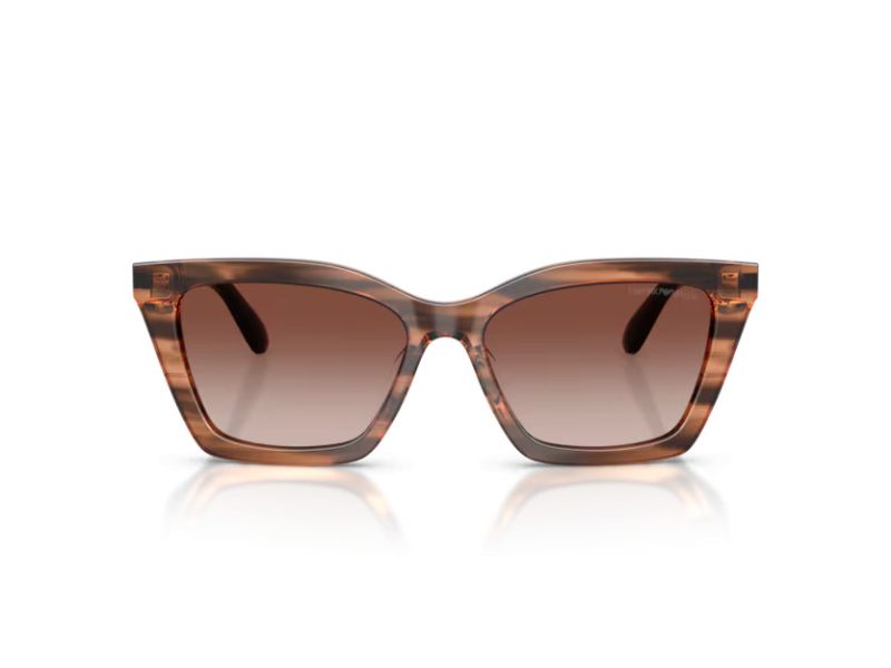 Emporio Armani Aurinkolasit EA 4250U 626613
