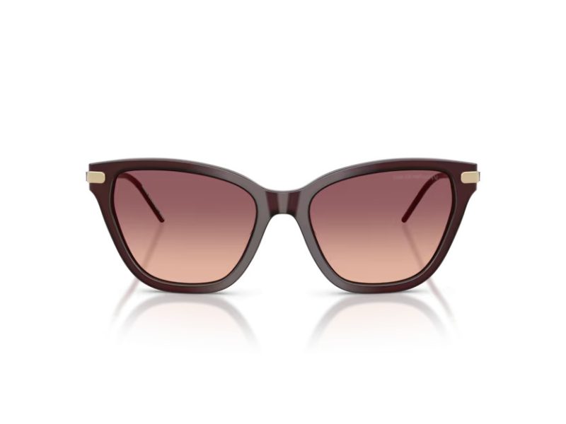 Emporio Armani Aurinkolasit EA 4251 62658D
