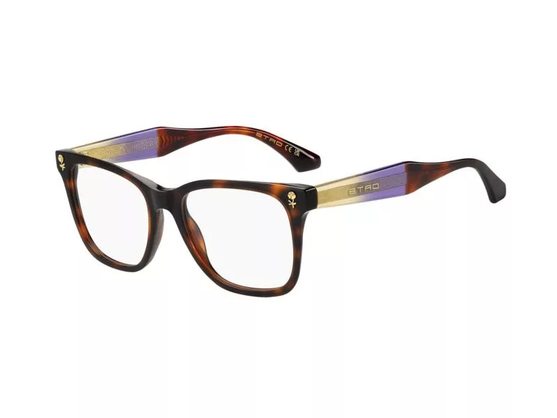 Etro Silmalasit ETRO 0115 ECM