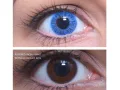ColourVUE Yksi kerros Sininen (2 kpl)