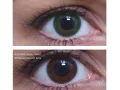 ColourVUE Yksi kerros Vihreä (2 kpl)