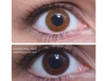 ColourVUE Yksi kerros Ruskea (2 kpl)