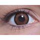 ColourVUE Vauvan silmät - Ruskea (2 kpl)