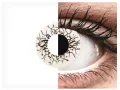 ColourVUE Crazy One-Day Vikingdom (2 kpl)