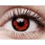 ColourVUE Crazy One-Day Volturi (2 kpl)