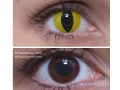 ColourVUE Crazy Kissan silmä (2 kpl)